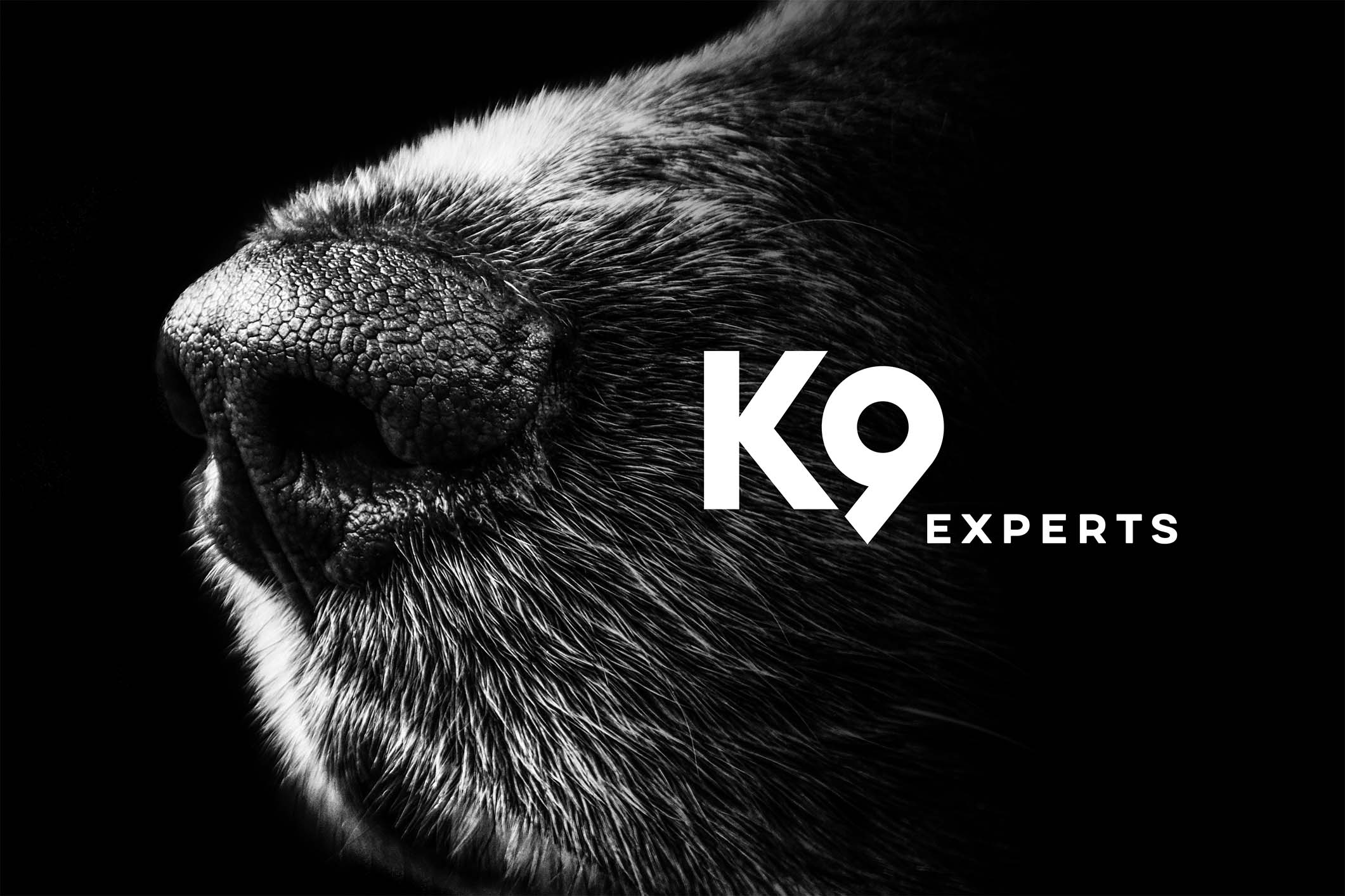 k9-experts
