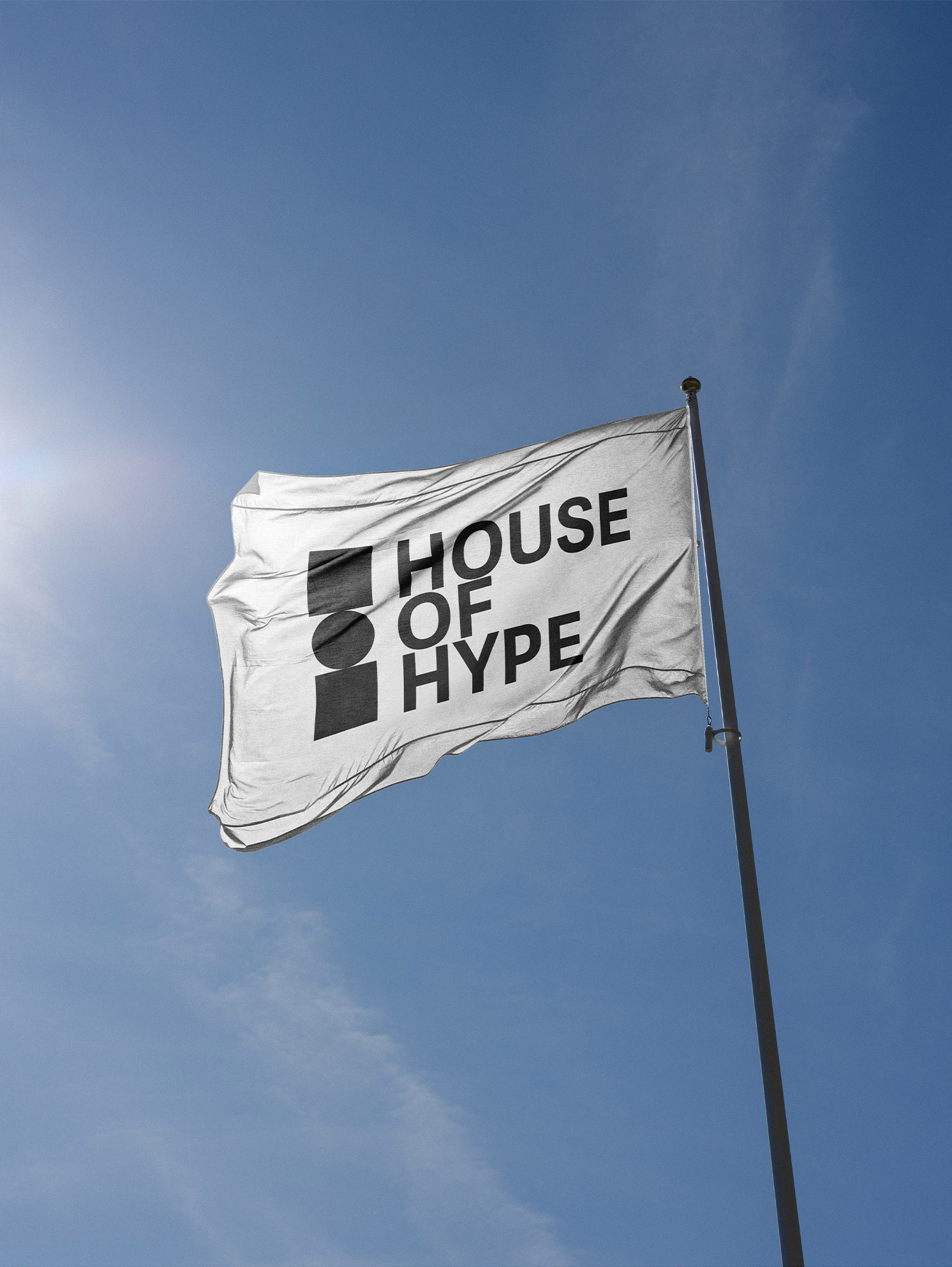 house-of-hype-gamma-2030-flag