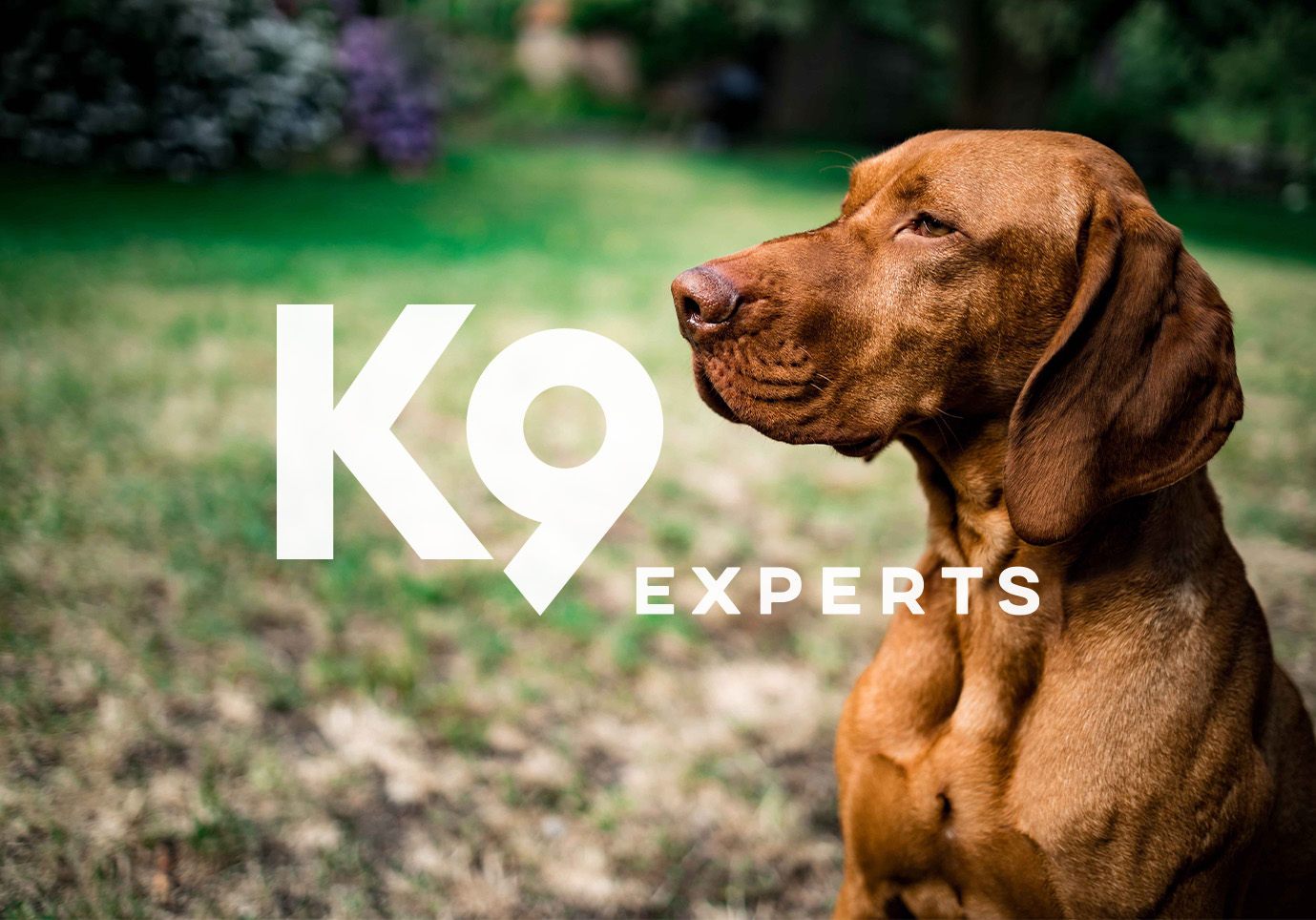 K9 Experts